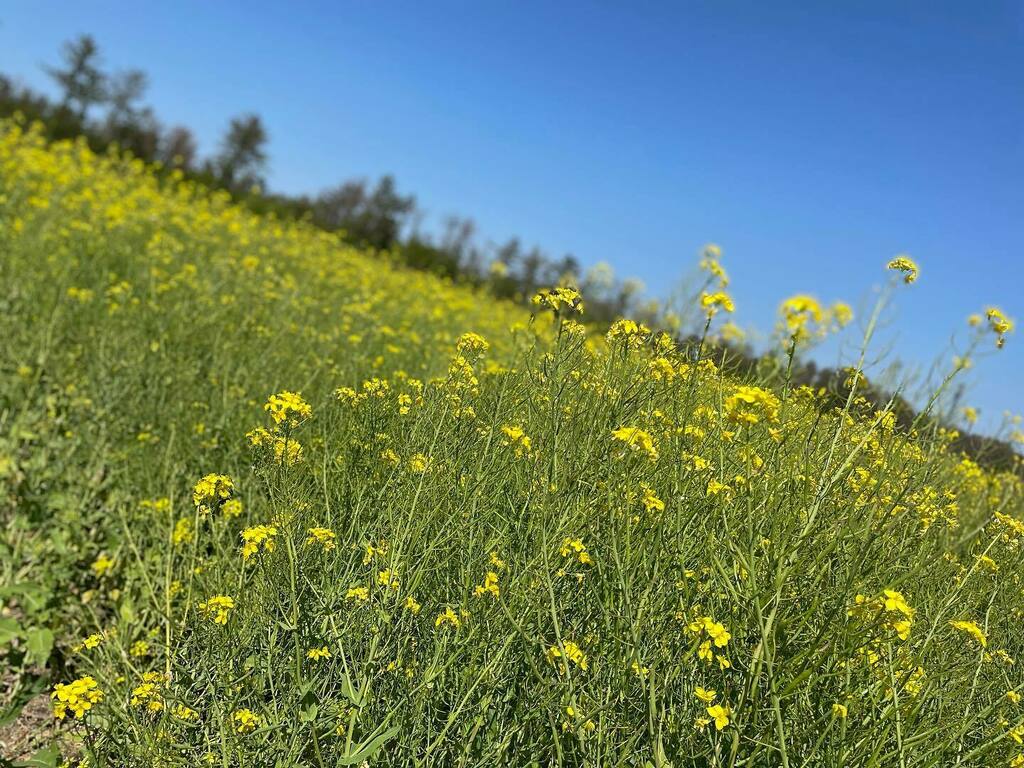 ホテルサンルーラル大潟 Twitter Search Twitter