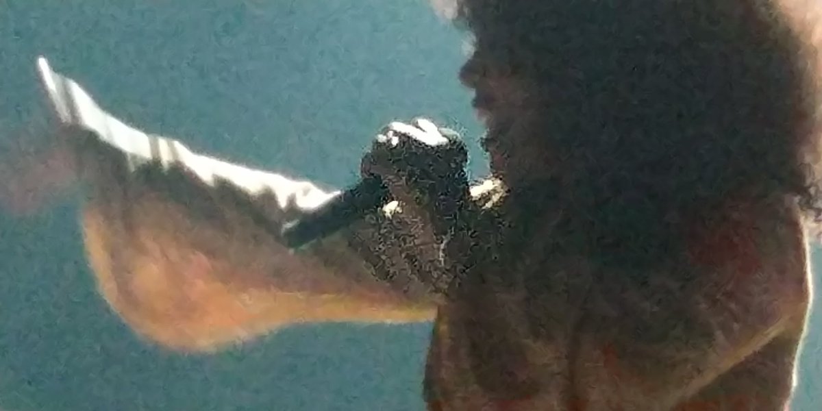 Share to be free tweet media