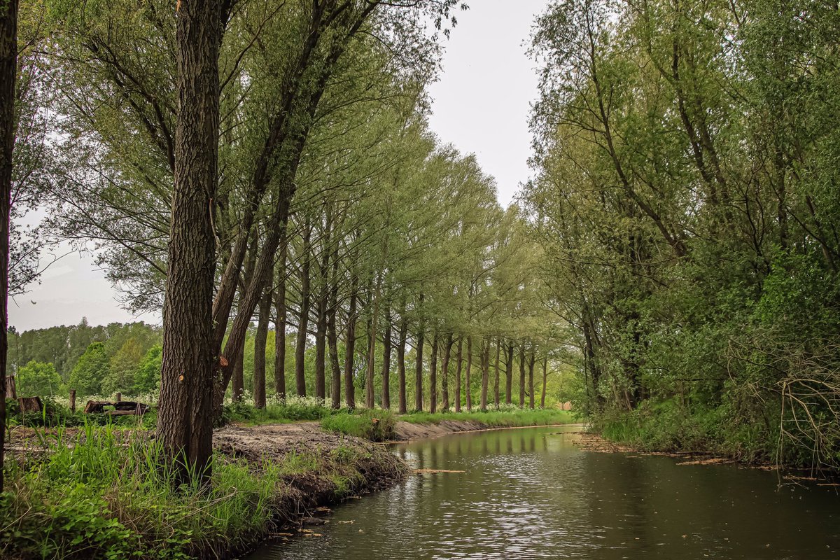 AnnySpoolder's tweet photo. Gisteren bij de #ErnterseWaarf, op pad met kinderen groep 4 basisschool #Bornerbroek in de #Zomp. #vrijwilligerswerk 📷#visitwierdenenter #nostalgie https://t.co/GLbkCwUKkY