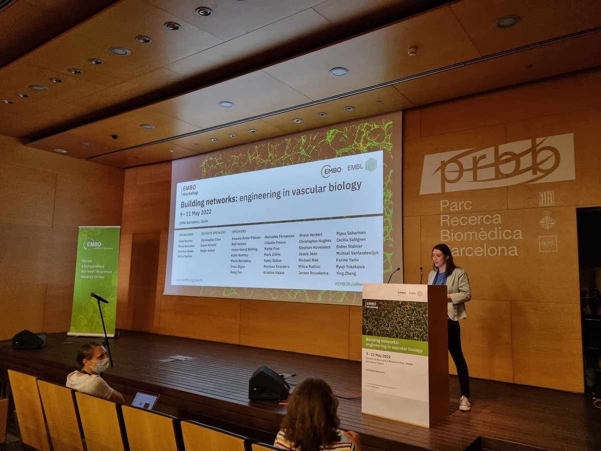 EMBL Barcelona (@emblbarcelona) on Twitter photo Twitter takeover
<a href="/marietabernabeu/">Maria Bernabeu</a> starting off the final day at #EMBOBuildNetworks talking about her research on cerebral malaria.
We can't wait for today's sessions on vascular oncology, ageing, and cardiovascular development & disease. Twitter takeover
<a href="/marietabernabeu/">Maria Bernabeu</a> starting off the final day at #EMBOBuildNetworks talking about her research on cerebral malaria.
We can't wait for today's sessions on vascular oncology, ageing, and cardiovascular development & disease.