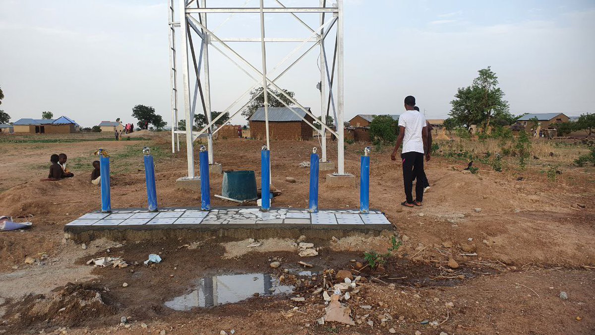 SHIBNOBI tweet media