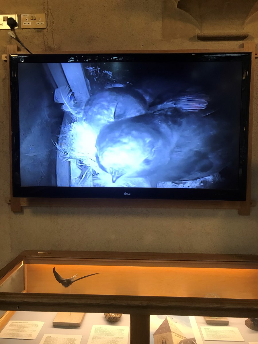 Chris Jarvis tweet media