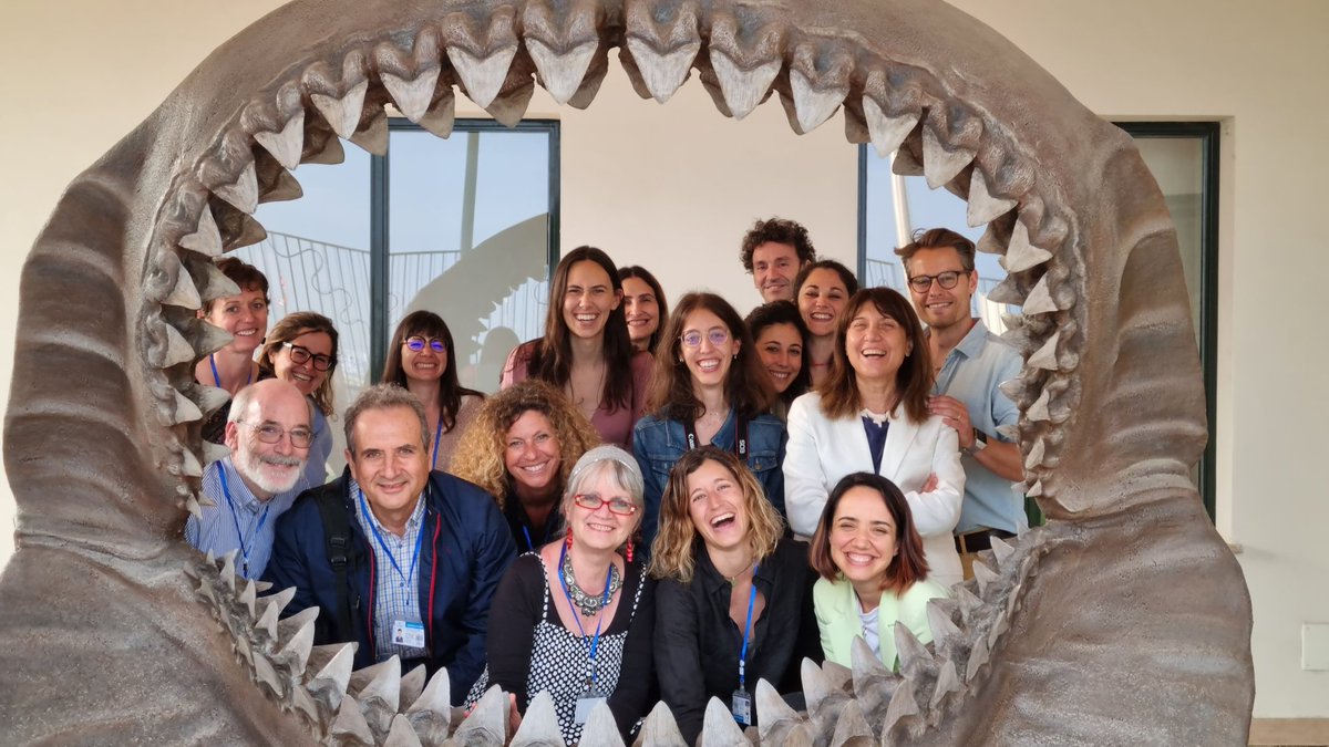 MarcoGregMunari's tweet photo. Great meeting, great people. Together we can protect and when necessary restore our #environment.
United we can.
@SznDohrn @simfrasca @r_danovaro @AfrimedEu @SilviaBianch
#restoration #macroalgae #marinebiology #ecology #followtheseahorse #dadom #szn https://t.co/JsdOH7H1xR