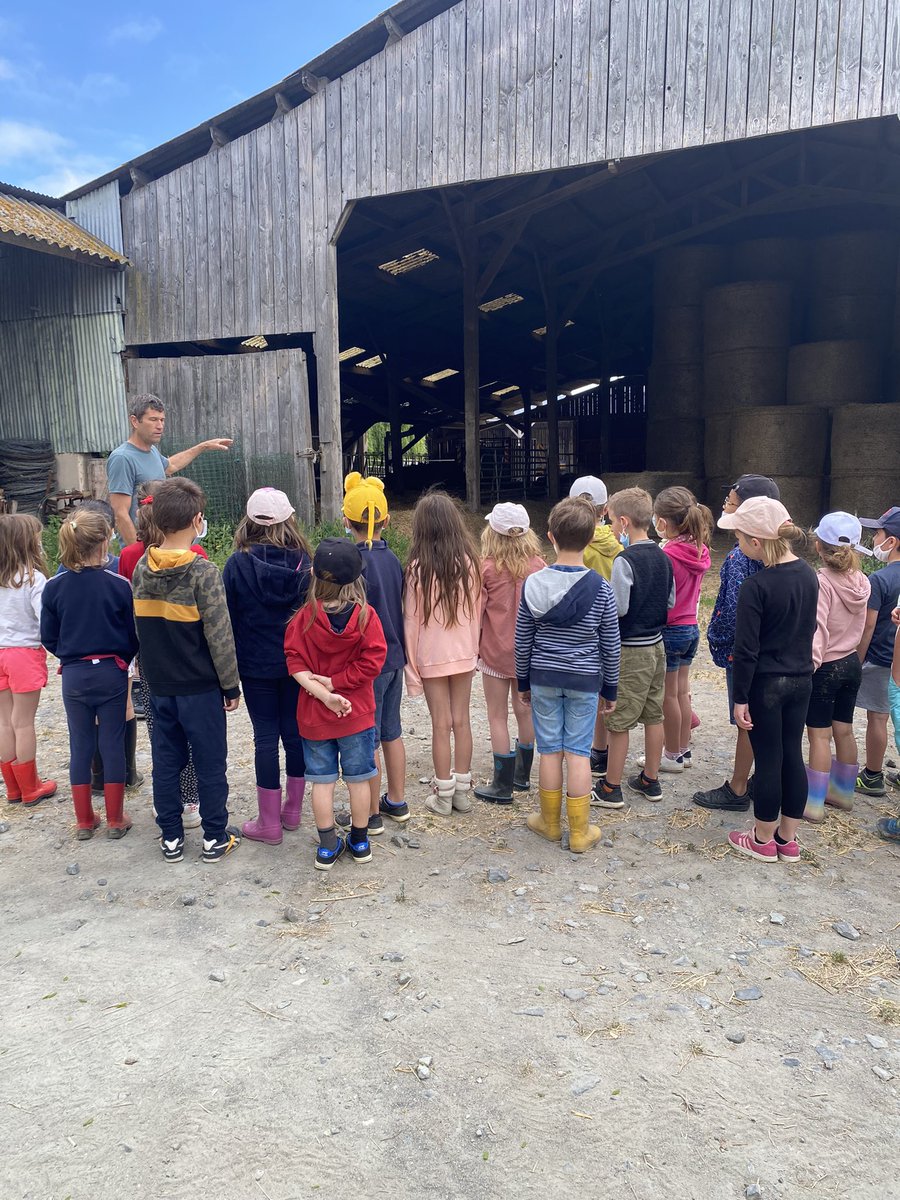 Interbev_PdL's tweet photo. Au GAEC des Mirandes (49), le système d’élevage de bovins #viande est centré sur le #pâturage et exploite les opportunités permises par la proximité d’#Angers.

#MadeInViande #CeuxQuiLaFont #Elevage #Viande 
@FDSEA49 @JeunesAgri49 https://t.co/4ns6ciRpTe