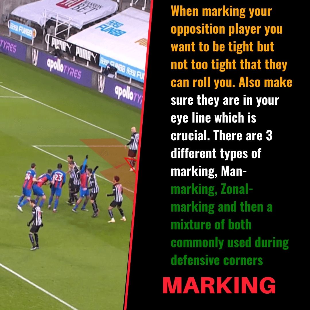 TheIndianFC's tweet photo. #football #soccer #profootballer #prosoccerplayer #ronaldo #newutd #cristianoronaldo #training #sui #championsleague #tifc #marking #setpieces #zonal #mantoman #theindianfootballcoach #regains #progressions #attribute #gym #health #fitness #fit #running #run https://t.co/7xkmSy5lf3