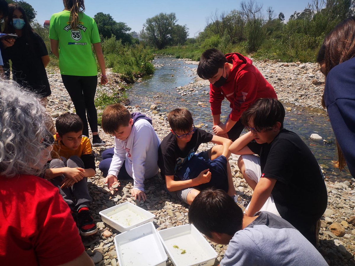 TorralboJosep's tweet photo. Dilluns vàrem fer una sortida a Aiguafreda, per tal de conèixer l'ecosistema de la riera de Martinet i el riu Mogent. Va ser una activitat molt didàctica, ja que vàrem poder establir una relació entre el tipus d'invertebrats que hi ha al riu i la seva contaminació. https://t.co/ekylEJY0wV