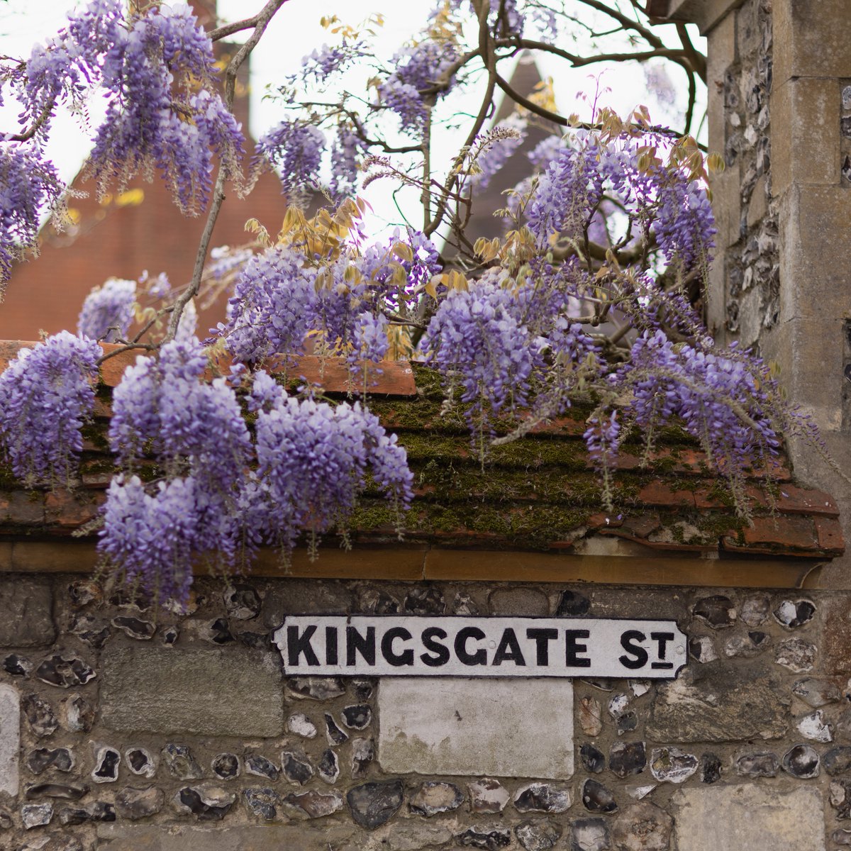 WinColl's tweet image. Looking after our mental wellbeing and connecting to others around us is the focus of Mental Health Awareness Week across the school. #MentalHealthAwarenessWeek #wisteria