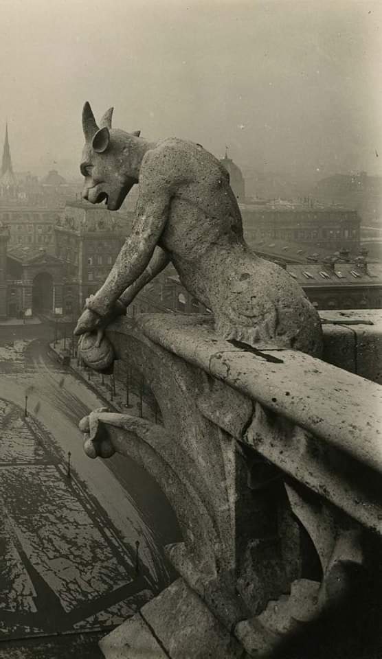 historydefined's tweet photo. A Gargoyle of Notre Dame, 1920. Photo by Pierre Yves-Petit. https://t.co/G5g15R3nNH