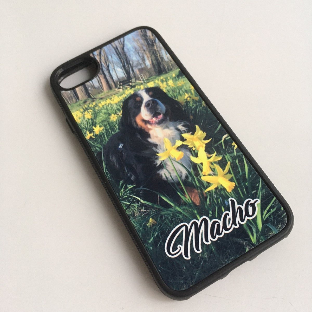 coolgoodies's tweet photo. Telefoonhoesjes met de afbeelding en naam van je huisdier. Vanaf € 3,99. https://t.co/PAbbg2sE9j #telefoonhoesje #huisdier #hond #kat #paard https://t.co/K0AhrNmDEZ