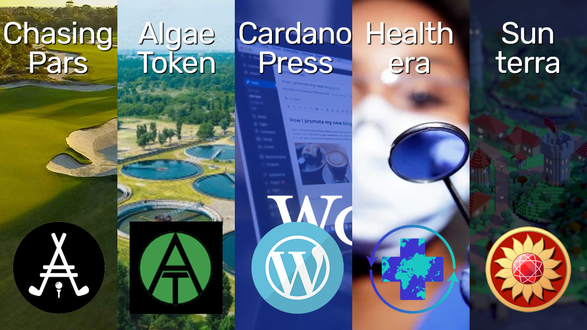 The #brisbane #cardano meetup are having our monthly meetup. This is a project highlight with 5 local projects #buildingOnCardano

meetup.com/cardano-blockc…

<a href="/chasingpars/">⛳️🏌️‍♂️ NFTs | Chasing Pars</a>
<a href="/algaetoken/">AlgaeToken</a>
<a href="/CardanoPress/">CardanoPress</a>
<a href="/AiHealthera/">Healthera AI</a>
@Sunterra_io

Can't make it? Live stream
youtu.be/8DeG7HfI1XI