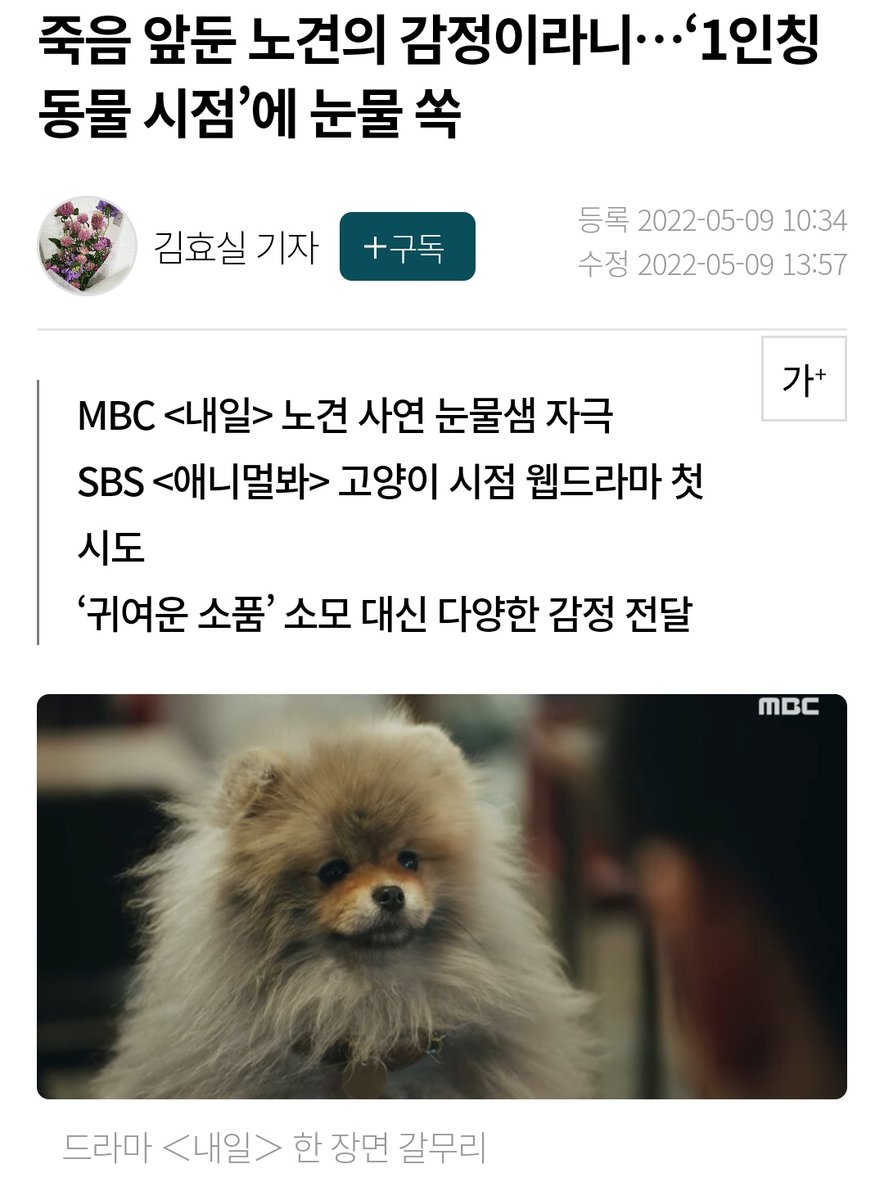 미국수의사The Veterinarian's Diary tweet media