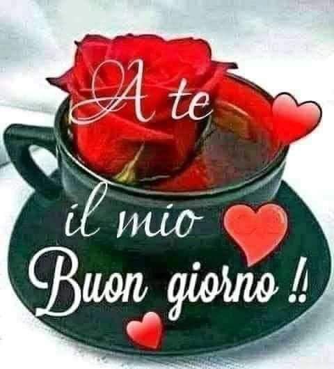 KatyaVigliotta's tweet photo. @erty_carlo Buongioro Carlo felice giornata 😘🥰 https://t.co/LeU01Apnxo