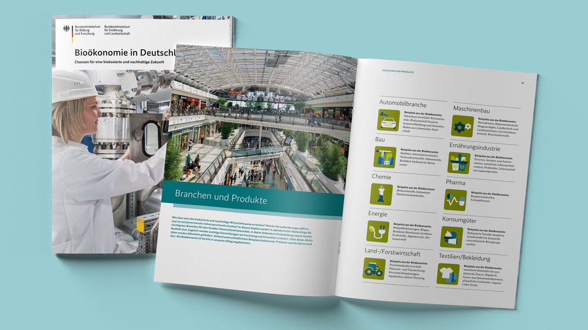 🌱🧐Das Standardwerk zum biobasierten Wirtschaften neu aufgelegt: Unser Team hat die Broschüre „#Bioökonomie in Deutschland“ reich bebildert und aktualisiert. #BiobasierteInnovationen in 10 Branchen &amp; die Forschungsförderung von @BMBF_Bund und @bmel. 

ℹ️ biooekonomie.de/nachrichten/ne…
