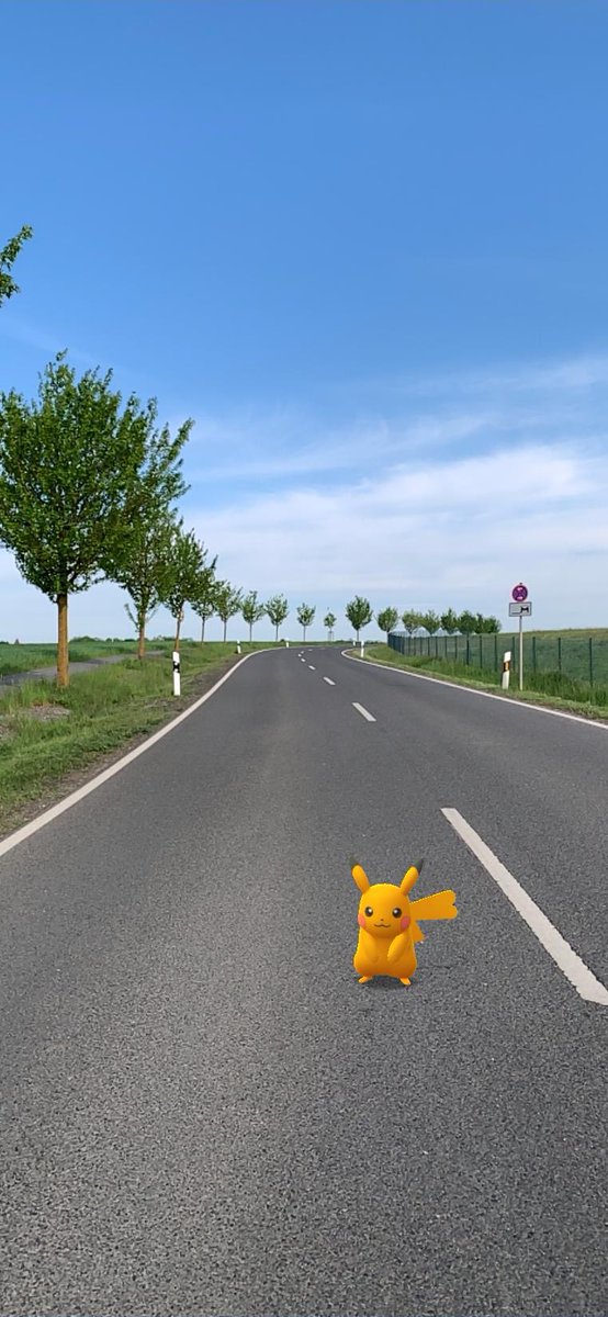 AvatarFailed39's tweet photo. It doesn't matter which #way we go. What #matters is who #accompanies us. And #Pikachu is not the worst #companion 👍🏻 #PokemonGO #GOsnapshot #ARofTheDay #WildARWednesday https://t.co/eQOlvkFGxJ