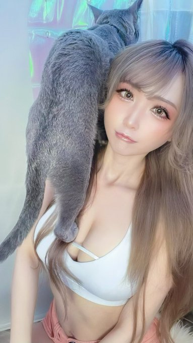 コスプレイヤーカモミールのTwitter画像15