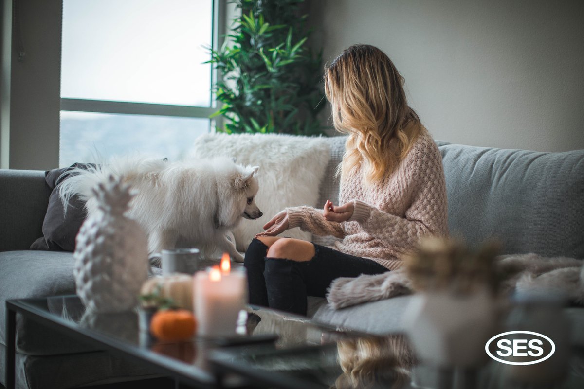 SES Electrical Contractors (UK) Ltd (@sesecukltd) on Twitter photo Checkout out latest blog on <a href="/ChiswickW4/">ChiswickW4.com</a>
Your pet’s curiosity could lead to danger, so we’ve created a blog with some tips to protect your pets from electrical dangers at home.
#Pets #PetSafety #PetsAtHome #FamilyPet #FamilyDog #ElectricalDangers
bit.ly/3w43RCg Checkout out latest blog on <a href="/ChiswickW4/">ChiswickW4.com</a>
Your pet’s curiosity could lead to danger, so we’ve created a blog with some tips to protect your pets from electrical dangers at home.
#Pets #PetSafety #PetsAtHome #FamilyPet #FamilyDog #ElectricalDangers
bit.ly/3w43RCg
