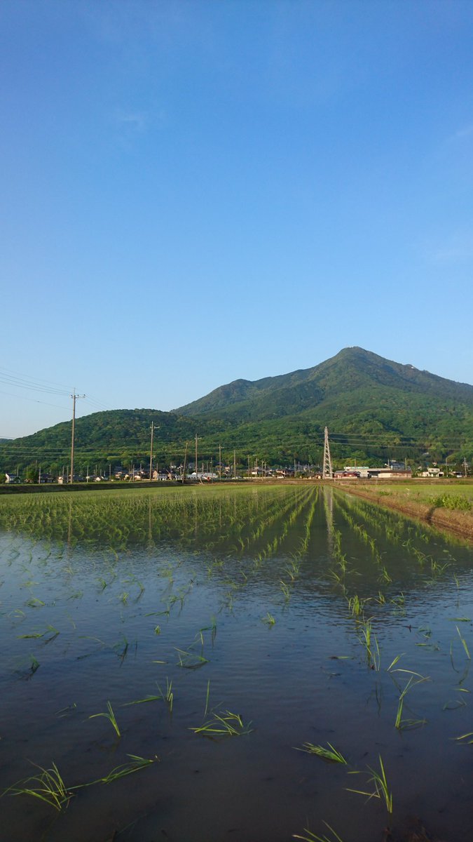 oQYPVSDzZXvvmO2's tweet photo. 蛙の声で今日を振り返る
いつもと変わらない日常を振り返る。

おぼつかない足を
前へ前へと進める。

誰に言われた訳でもないけれど
歩みは止めない。

田んぼの蛙たちから見る自分の背中は
一体どんな感じに見えるのだろうか。

夕陽に���かい歩き続ける...
ただ、ひたすらに。

ほら、帰ろう��� https://t.co/mmgSOhgZlK