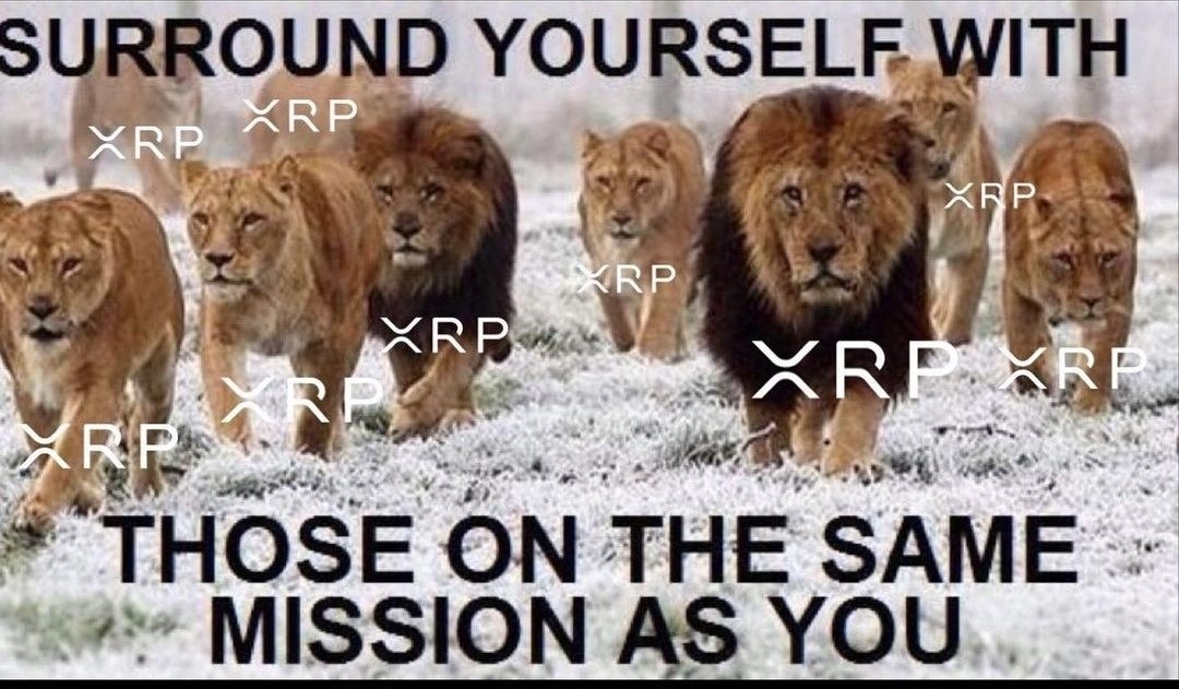 We are a strong community $XRP 💪🏼💎