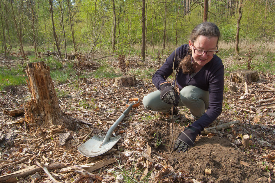 FiltaFryEurope's tweet photo. We are now real #tree #sponsors. Great joint #tree #planting of 100 #Redbeech trees (Tree of the Year 2022) with PLANT-MY-TREE® in #Straupitz, #Spreewald. Read more: https://t.co/hYTM1D6JV0 https://t.co/XgeEnvETSO