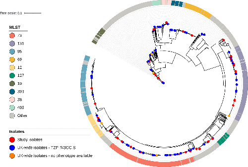 MicrobioSoc's tweet photo. Piperacillin/tazobactam-resistant, cephalosporin-susceptible Escherichia coli bloodstream infections are driven by multiple acquisition of resistance across diverse sequence types, from @dralhubb and colleagues in #MGen 
https://t.co/lKzHEO7Nt7 https://t.co/sxhMw7Sd96