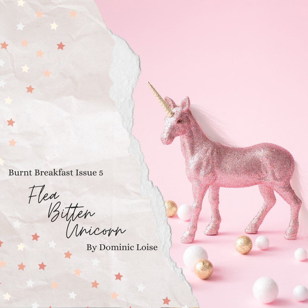 Burnt Breakfast Magazine tweet media