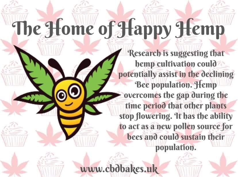 cbdbakes_ltd's tweet photo. Happy Hemp Honey is made by Bees fed on the finest organic hemp in the lush open fields of Ireland. It is packed with endless natural benefits. It isn’t heated or filtered to ensure all natural goodness is preserved #happyhemphoney #happyhemp #raworganichoney #cbdbakes #raw 💚🍯 https://t.co/3WuqxKS2IM