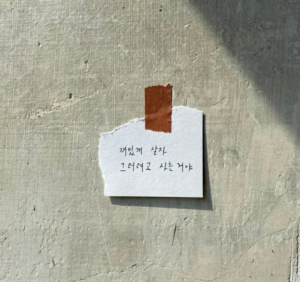 이대표 tweet media