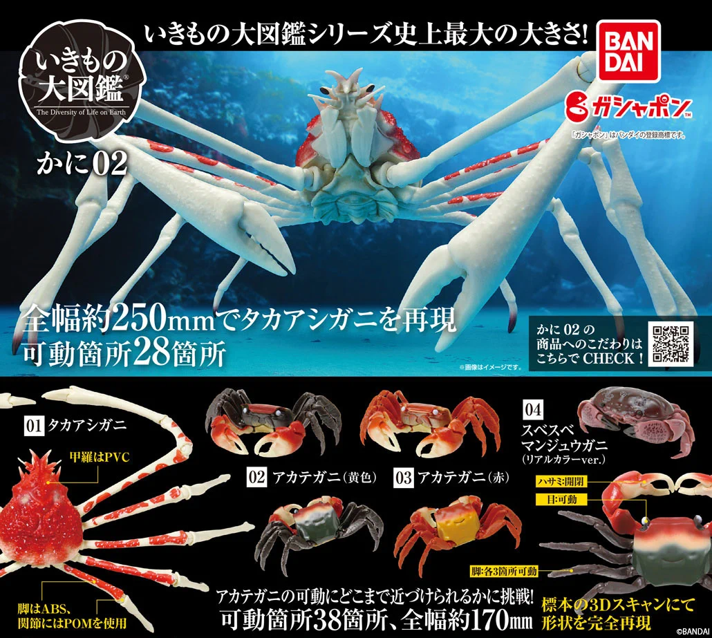 カニです 公式】バンダイ ガシャポン on X: 