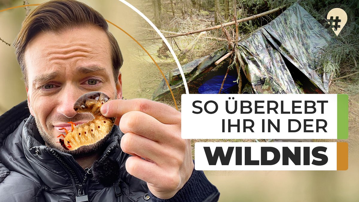 JohannaDaher's tweet photo. Heute startet unser neues MDR-Format #hinREISEND auf #YouTube. 😍🎉 Darin bekommt ihr ab sofort jede Woche eine Folge mit besonderen Ausflugstipps in Sachsen-Anhalt, Sachsen &amp; Thüringen. Die Premiere heute live ab 18 Uhr 🎥: https://t.co/tMYYkQoUu8 | @MDR_SAN @mdr_th @MDR_SN https://t.co/3z4l9DM1Ik