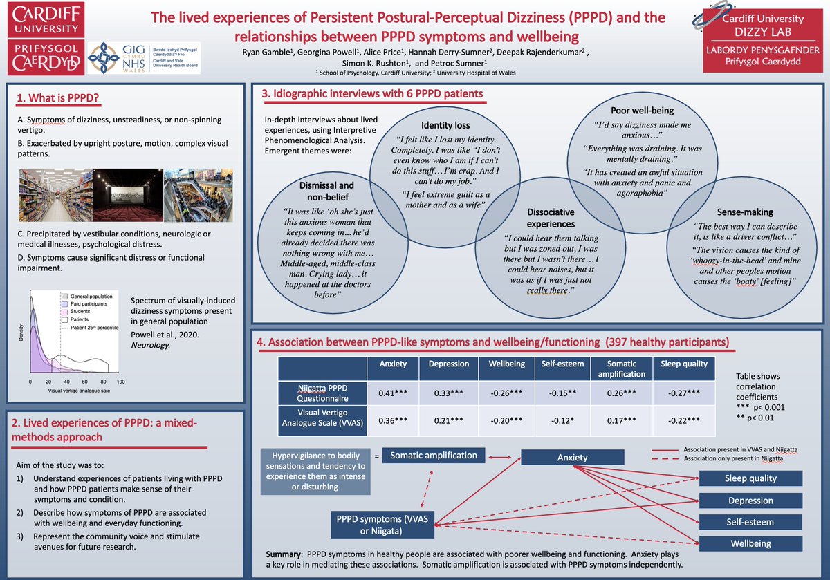 "FP1378/ The lived experiences of Persistent Postural Perceptual Dizziness (PPPD), and the relationships between PPPD symptoms and wellbeing" #barany2022