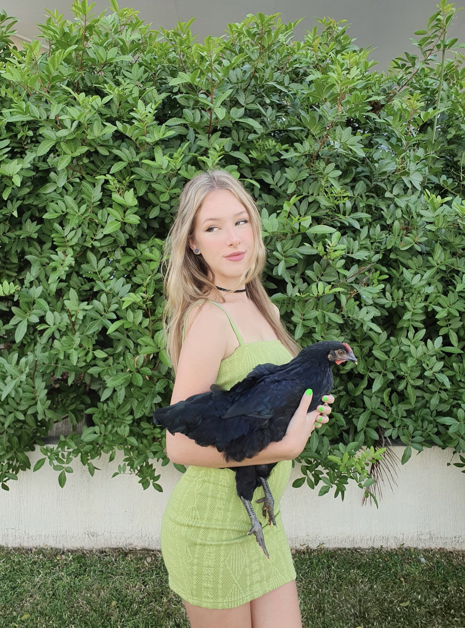 Diddly on Twitter "Backyard babes https //t.co/Es1r8TX5eP" / Twitter