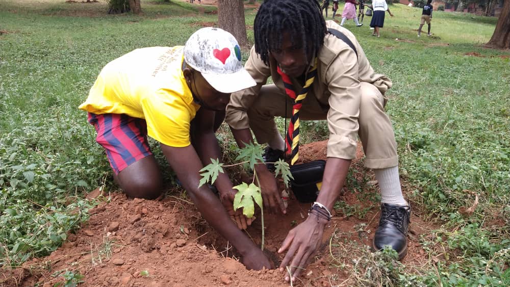 testimonyafric1's tweet image. Join us. Let's find solutions to the world's biggest challenges. SOLVIN LOCALPROBLEMSWITHAGLOBALEFFECT. 
#ClimateAction #ReplantingUg #ClimateJustice
Follow @testimonyafric1 now.