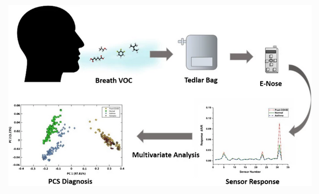 AnalBioanalChem's tweet photo. Post-COVID syndrome #screening through #breath analysis using #electronic #nose technology
by Santhosh Chidangil et al @MAHE_Manipal @KMC_Mangalore #COVID #postcovid #biosensors

https://t.co/6fdqv2RBxg https://t.co/JEMhwFWaBP
