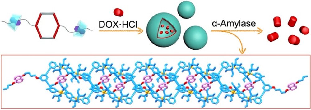 bhkenlo's tweet photo. An Organoplatinum(II) Metallacycle-Based Supramolecular Amphiphile and Its Application in Enzyme-Responsive Controlled Release https://t.co/ZLsaN3Ij69 Shi, Zhang, Huang, Stang, & co-workers @InorgChem #platinum #metallacycle #supramolecules #amphiphile #enzyme #release #othogonal https://t.co/gLphXJ5I0L