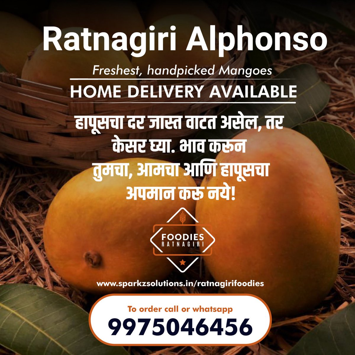 Buy best quality #Ratnagiri #Alphonso on our website

Sparkzsolutions.in/ratnagirifoodi… 

Or call 9975046456

 #हापूस #alphonso #ratnagiri #mangoes #ratnagirialphonso #ratnagirimangoes #ratnagirifoodies #आंबा