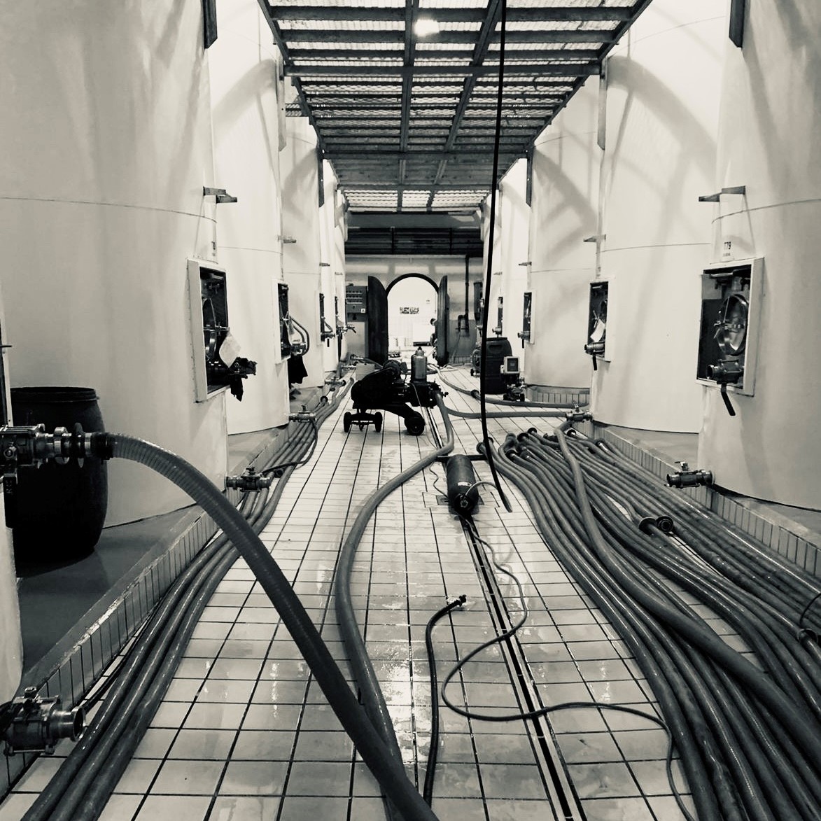 Springfield Estate tweet media