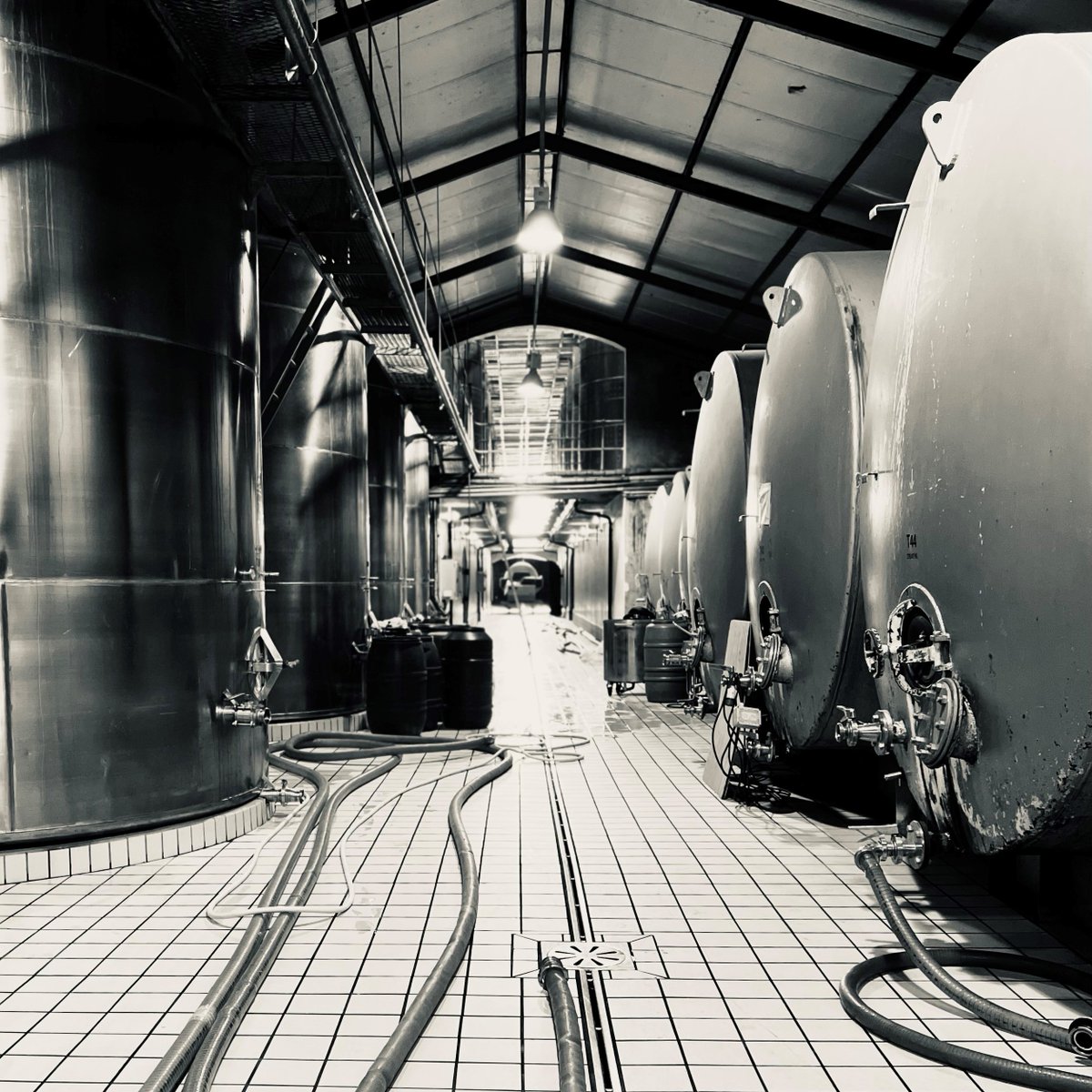 Blending season has officially started - yesterday we kicked off with the Life from Stone - a 20hr day!
While it is hard work and long hours, it is always so rewarding to taste that first glass of a new vintage and confirm that the blend is, as Goldilocks would say, JUST RIGHT.