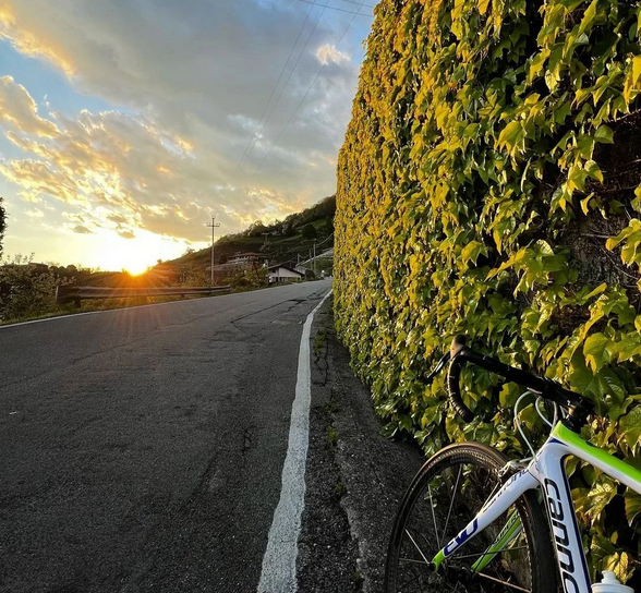 "Nella vita come sulla #bici, non cerco mai le strade senza salita... cerco quelle che mi lasciano qualcosa di speciale!

È la fatica che da sapore al trionfo".

📸 da IG @ilbiciclofriulano 🚵🏼 tra le strade di #Ramandolo

#iosonofvg #sportlandfvg