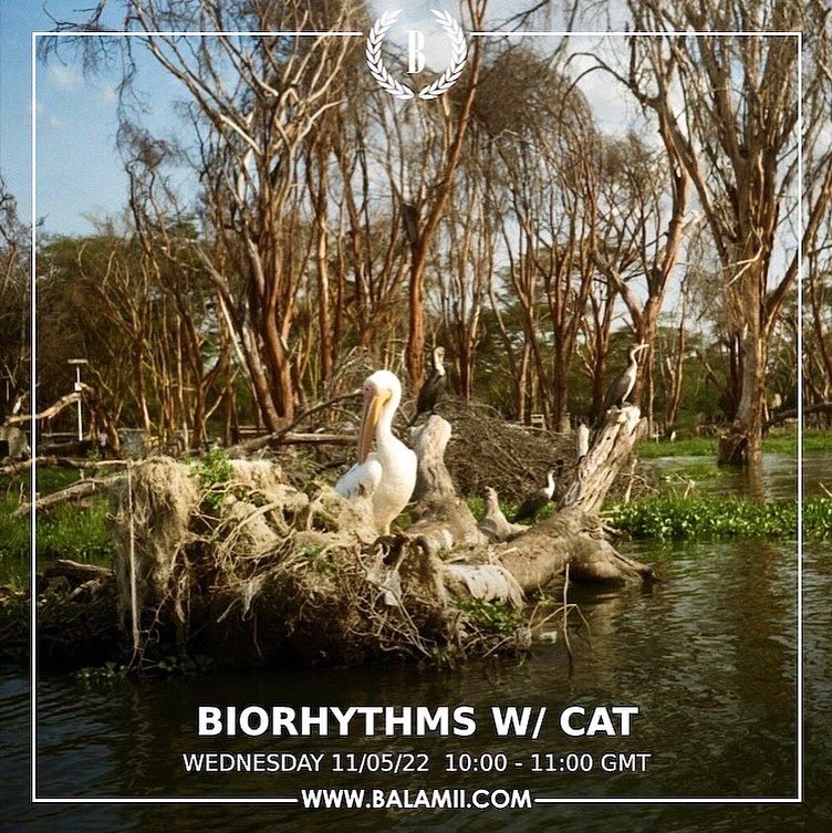 Biorhythms live now until 11am on <a href="/Balamii/">Balamii</a> ! Tune in for ambient goodness to soothe a gloomy Wednesday morning.