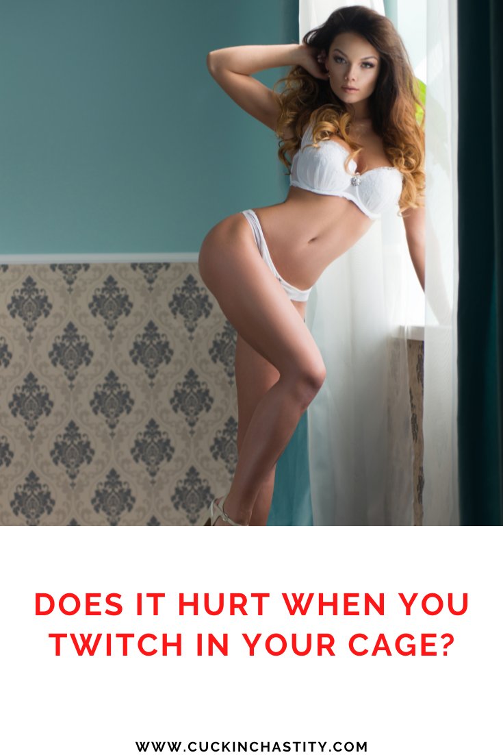Cuck In Chastity Shop (@cuckshop) on Twitter photo 