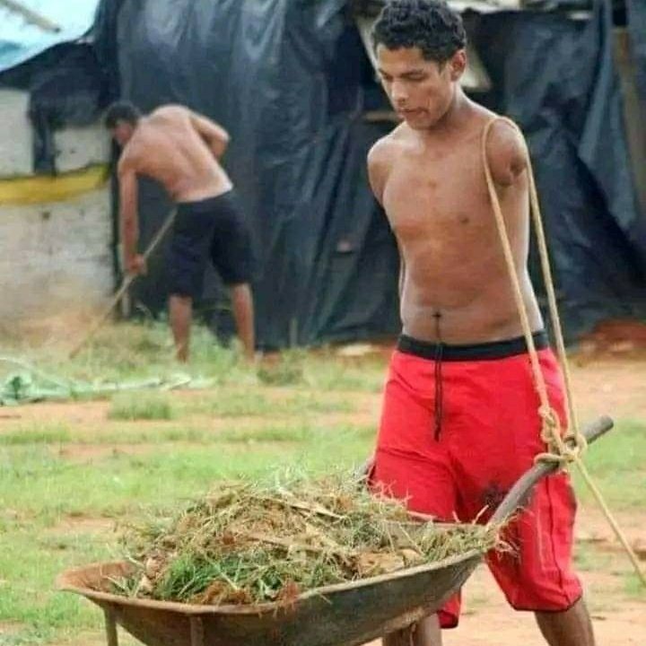 Can you please employee me?