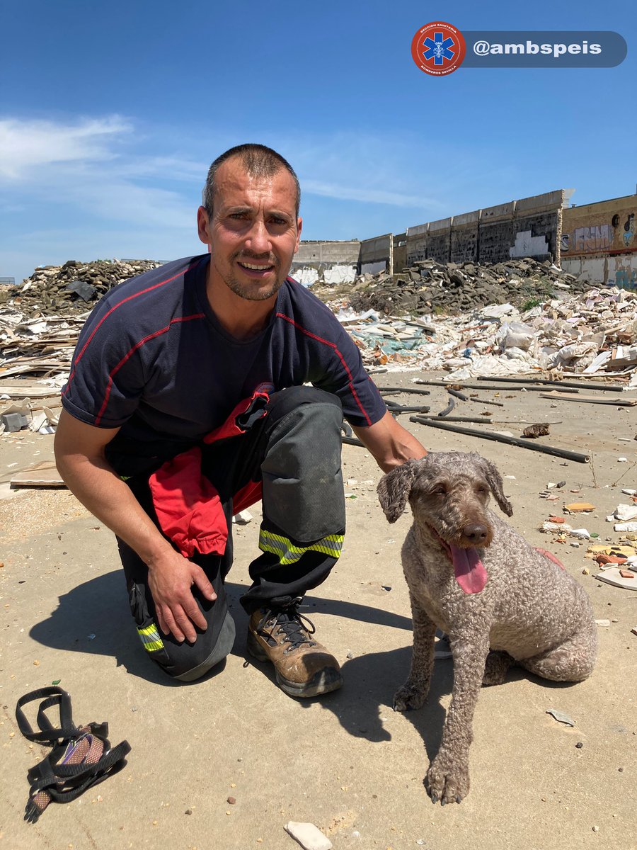 La recompensa y el juego son los mejores aliados para convertir a estos perros en auténticos profesionales del rescate. Unos salvadores para las personas atrapadas bajo los escombros. Gracias a Yetro y Dora (y a sus dueños) por vuestro inigualable trabajo. 🐶🚒. <a href="/Ayto_Sevilla/">Ayuntamiento de Sevilla</a>