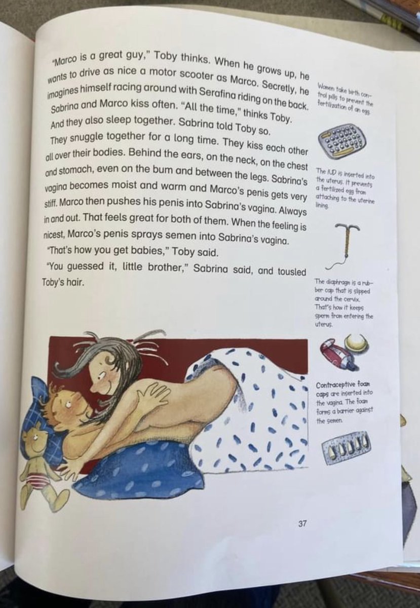 This is one of thousands of the K-12 paperback books flooding schools and libraries. The national education cartel is determined to steal childhood innocence.