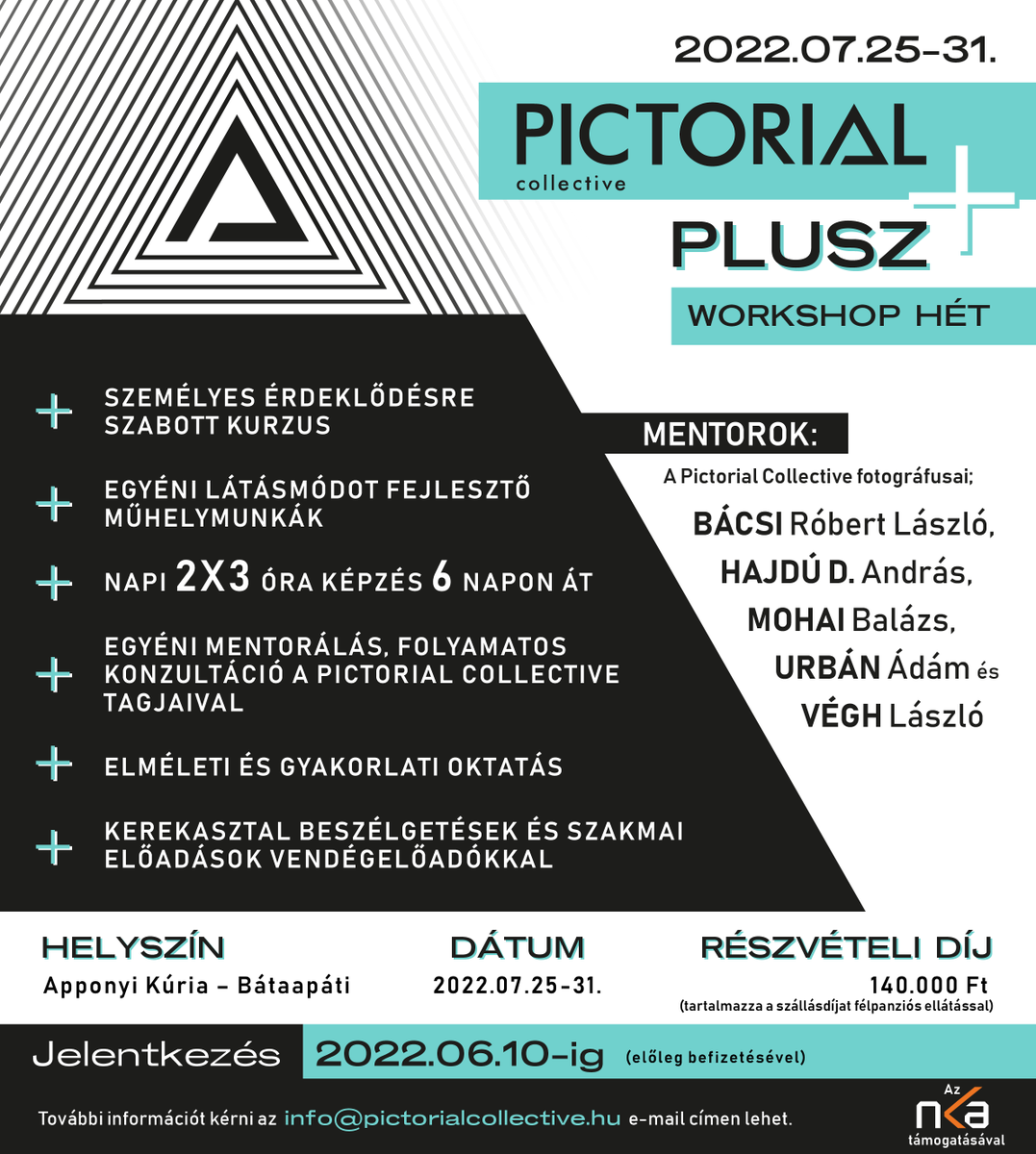 Pictorial Collective tweet media