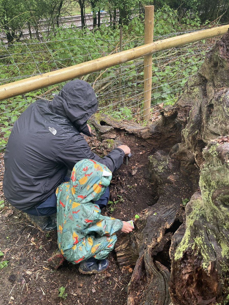 OutdoorRutland's tweet photo. Wednesday AM #rutlandducklings group! Despite the rain π§ everyone did very well π #roec #winghallfarm #wing #stamford #uppingham #discoverrutland #oakham #farm #forestschool #outdoorlearning #outdooreducation #corby #peterborough #leicestershire #rutland #bugs #bughunt https://t.co/TE1o9QaK06
