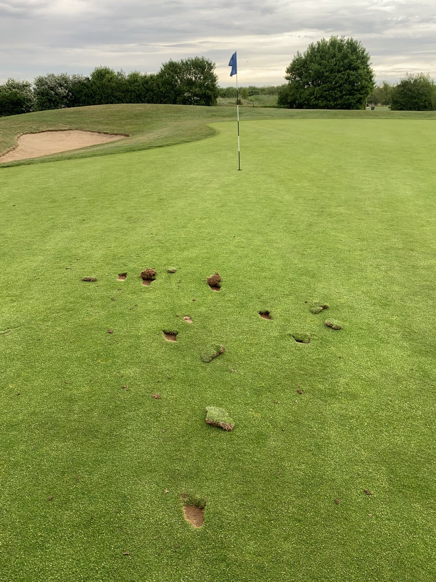 George Grimes tweet media