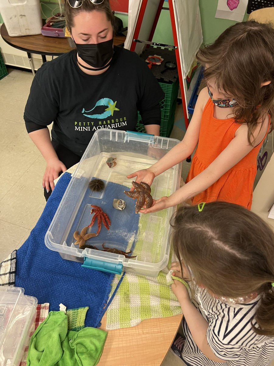 TOUCH TANK! Everyone’s FAV! What a wonderful Presentation  by Miss. Holly and Miss. Kayla from the <a href="/PettyHrMiniAqua/">Petty Hr Mini Aqua</a> <a href="/BishopFeild/">Bishop Feild Elementary</a> <a href="/NLESDCA/">NLESD</a>  Thank you to <a href="/KarenZendel/">Karen W</a>  for donating this presentation to our class! What a cool experience!!!