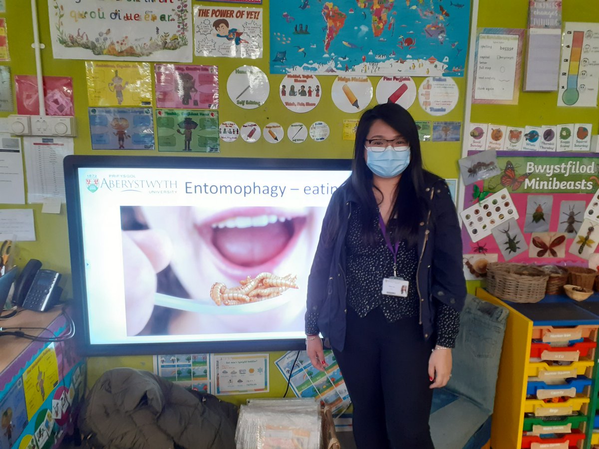 Aber_Sch's tweet photo. Thank you to Dr Tiffany Lau for joining the Widening Participation team this morning. We spoke to @Plascrug pupils about the benefits of eating insects. #ValuSect #IBERS 🐜🐝🪲🐞 https://t.co/H7Wsm1pWoY