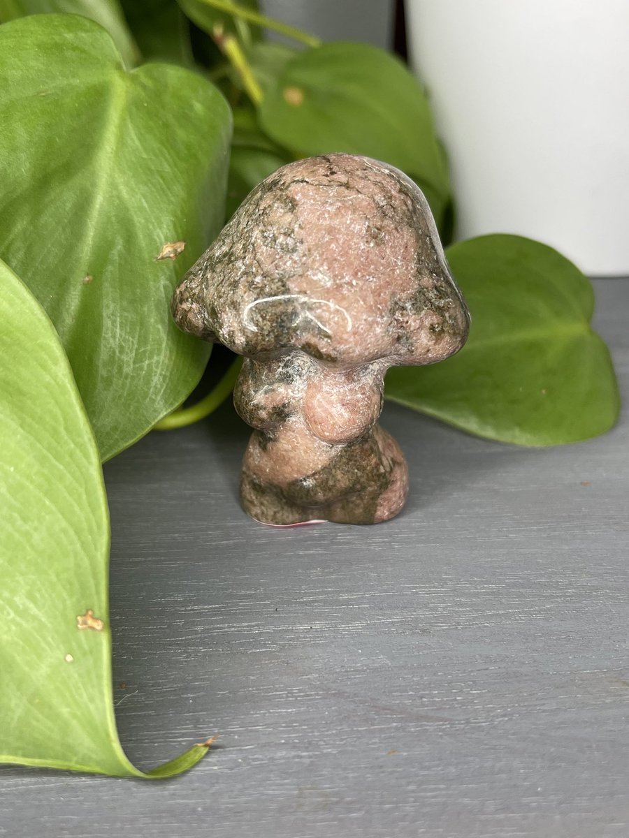 natscrystalsco's tweet photo. things have been really tough recently for my online shop and unless nothing short of a miracle happens i might have to shut down shop so if your seeing this any and all help is greatly appreciated even sharing In my shop i have these adorable mushroom goddess bodies! link below https://t.co/Ijp8GKT0QD