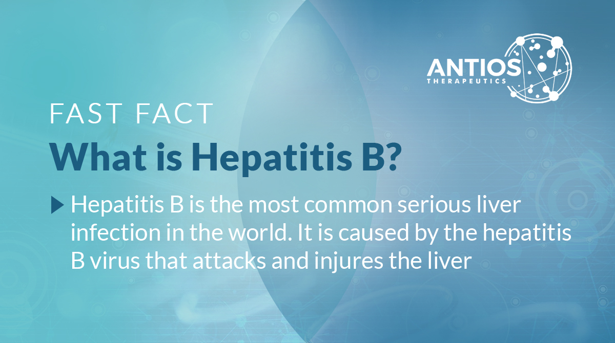 May is #HepatitisAwarenessMonth! With roughly 900,000 deaths per year, our mission at Antios is to develop innovative therapies to treat and cure #HBV Learn more: bit.ly/35XjIYY